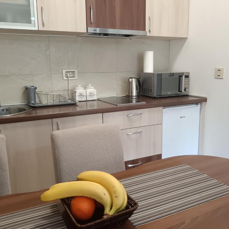 Pine Tree View Vila Pekovic Zlatibor - Apartman s 1 Spavaćom Sobom i Balkonom - 18