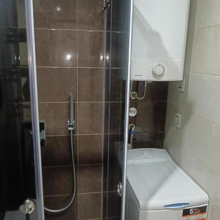 Pine Tree View Vila Pekovic Zlatibor - Apartman s 1 Spavaćom Sobom i Balkonom - 24