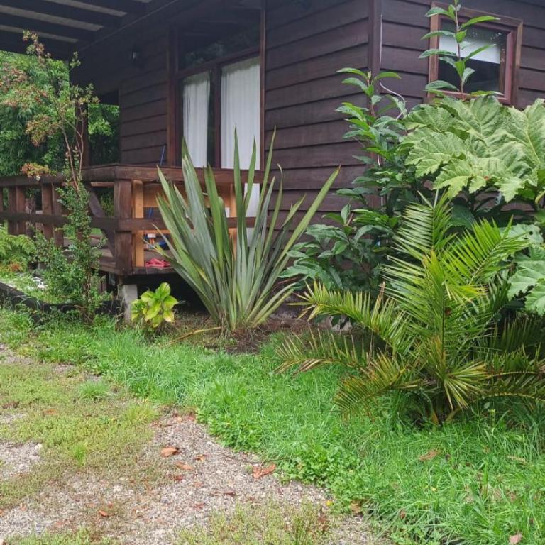 Ruca del Fuy - One-Bedroom Apartment - 1