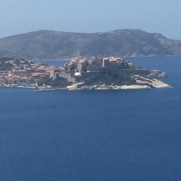 Calvi au soleil - Monolocale con Divano-Letto - 2
