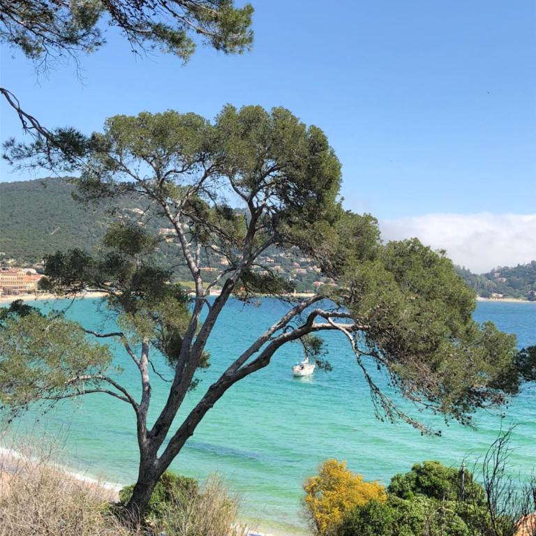 Le Lavandou villa avec piscine vue mer - Villa - 20