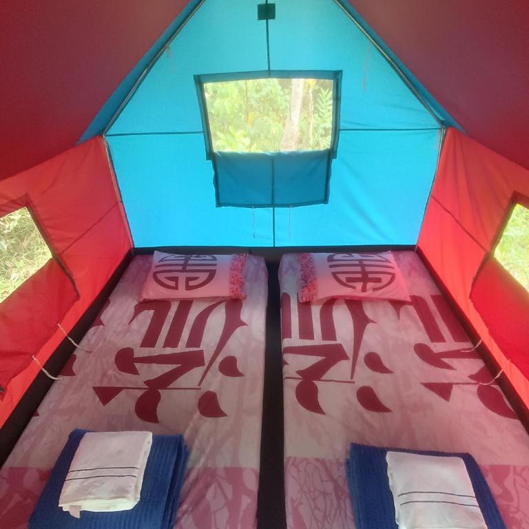 ECOXPLORA-Zona de camping - Tent - 10
