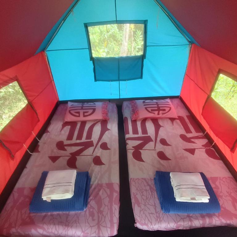 ECOXPLORA-Zona de camping - Tent - 6