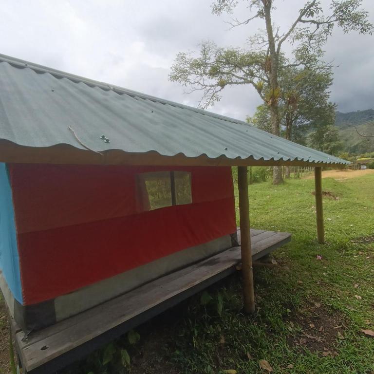 ECOXPLORA-Zona de camping - Tent - 4
