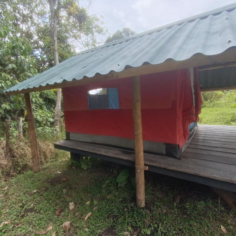 ECOXPLORA-Zona de camping - Tent - 5