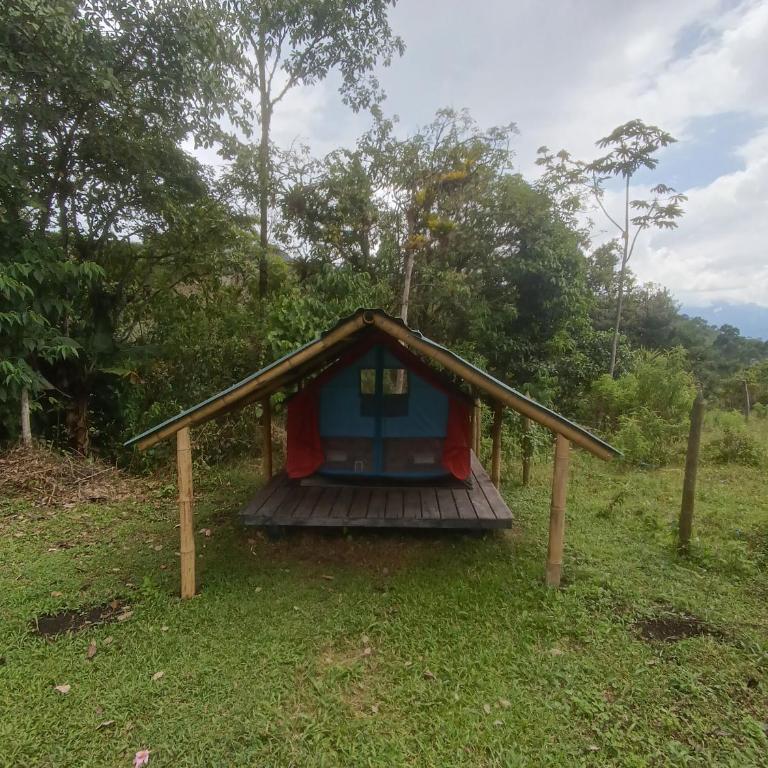 ECOXPLORA-Zona de camping - Tent - 1