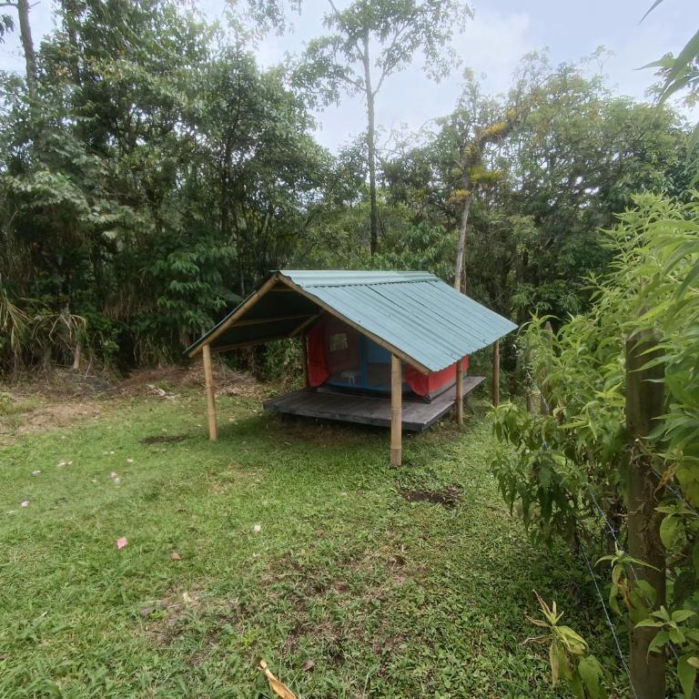 ECOXPLORA-Zona de camping - Tent - 8