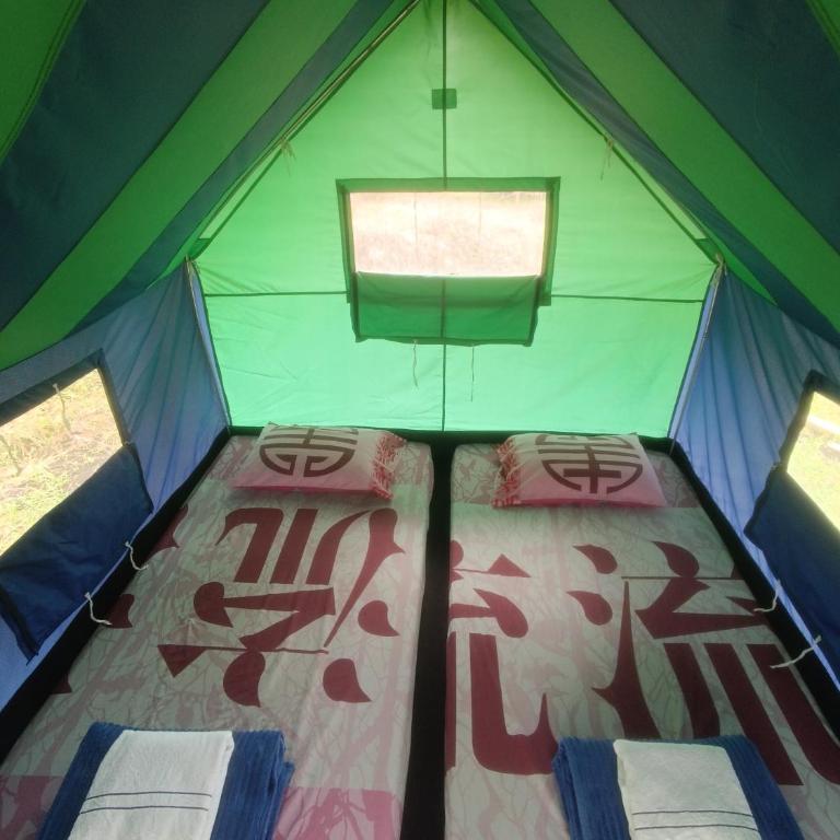 ECOXPLORA-Zona de camping - Tent - 6