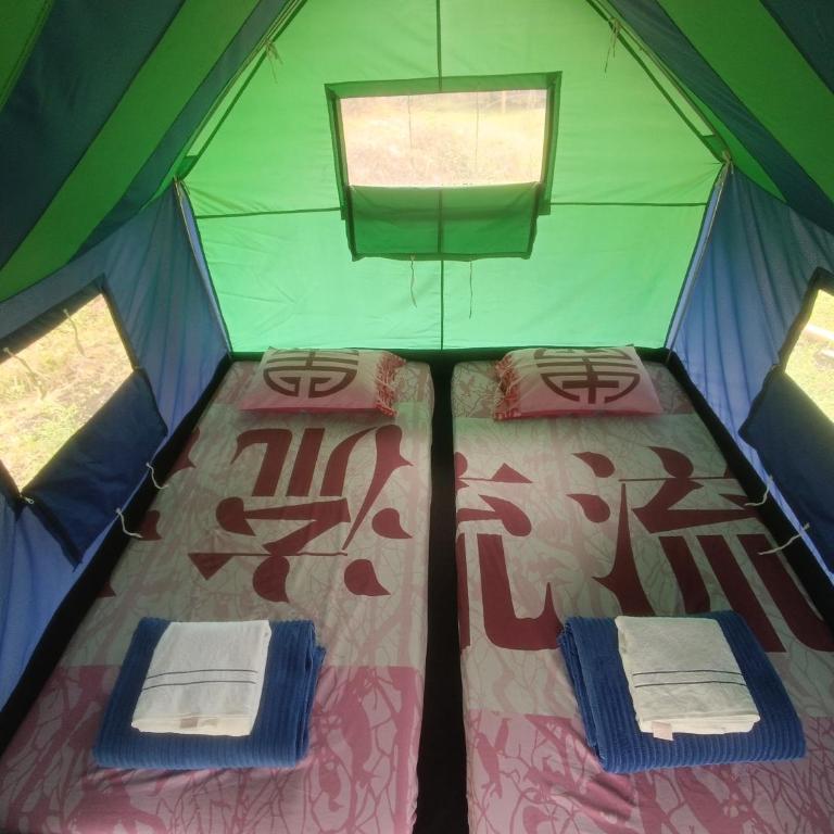 ECOXPLORA-Zona de camping - Tent - 5
