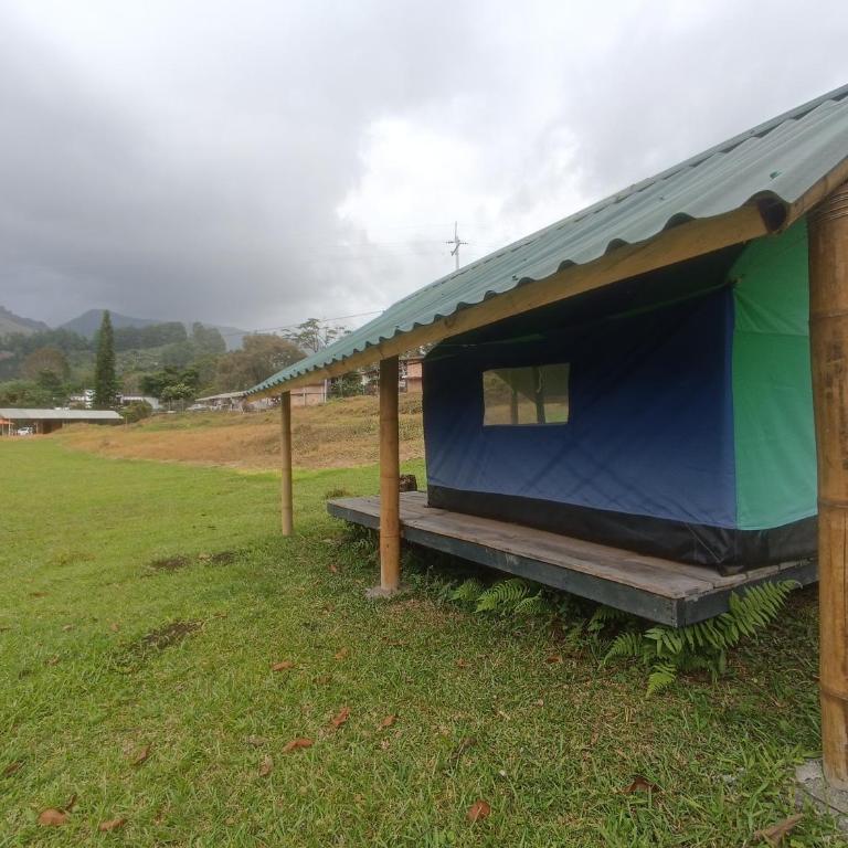 ECOXPLORA-Zona de camping - Tent - 4