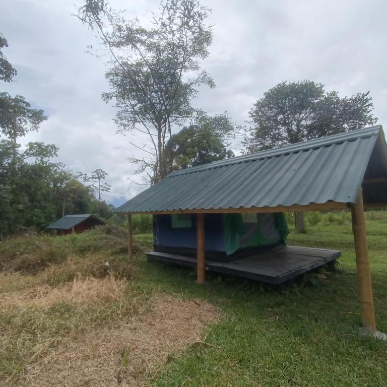 ECOXPLORA-Zona de camping - Tent - 3