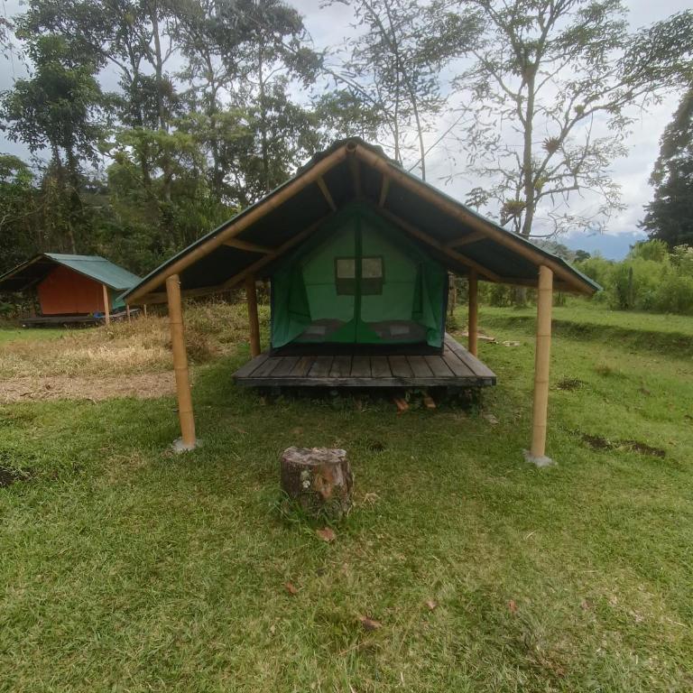 ECOXPLORA-Zona de camping - Tent - 8
