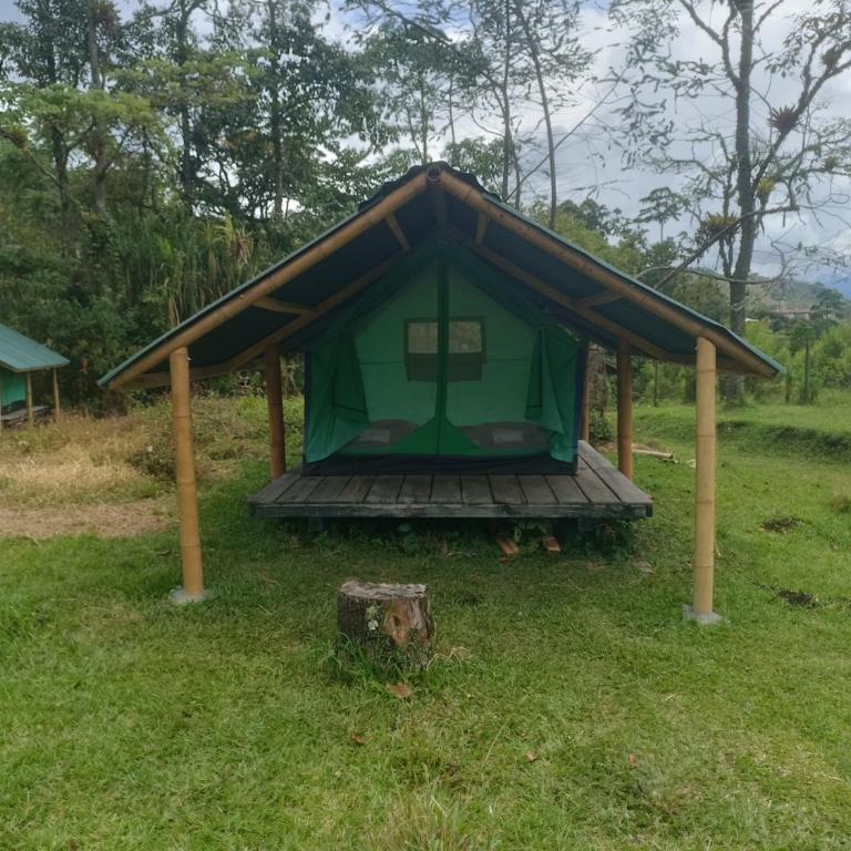 ECOXPLORA-Zona de camping - Tent - 9