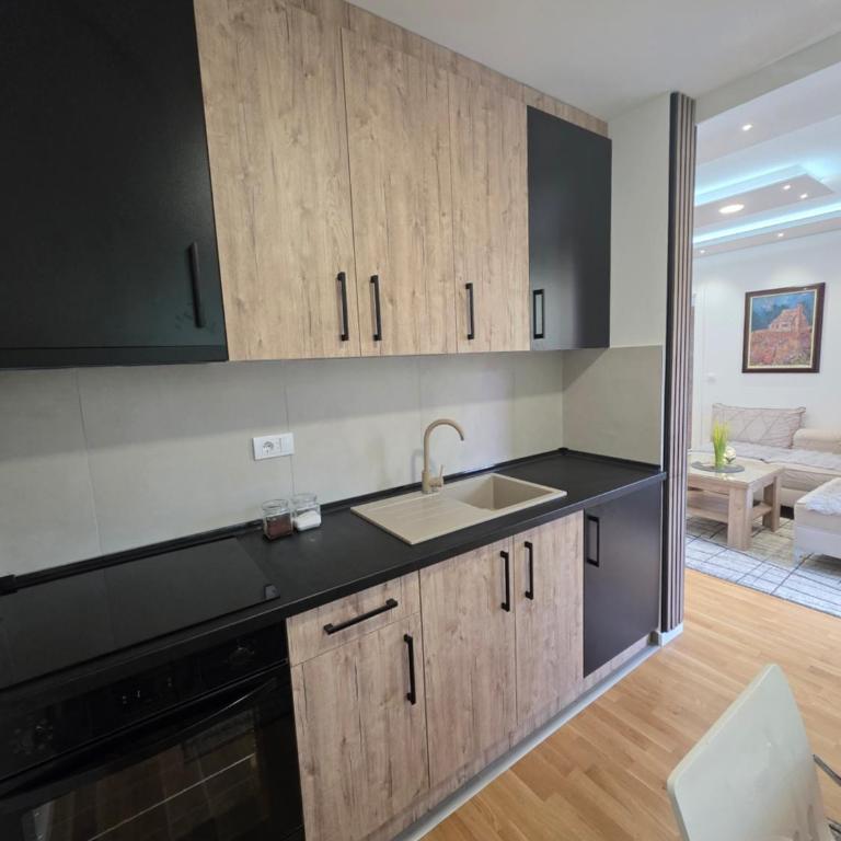 Grbavica Lux Apartments - Apartman sa 1 Spavaćom Sobom - 24