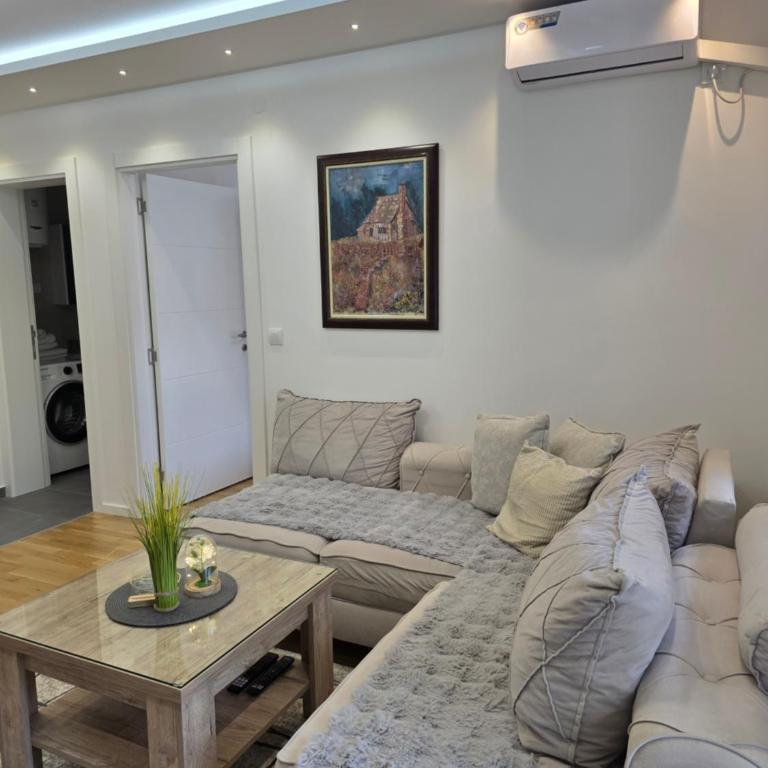 Grbavica Lux Apartments - Apartman sa 1 Spavaćom Sobom - 9