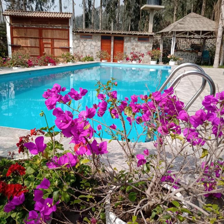 Casa Campo Delia - Casa de 3 dormitorios - 13