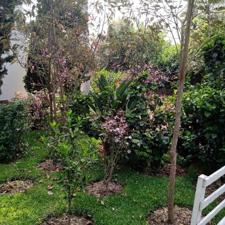 Casa Campo Delia - Casa de 3 dormitorios - 17