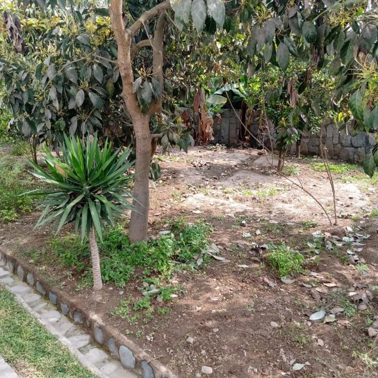 Casa Campo Delia - Casa de 3 dormitorios - 27