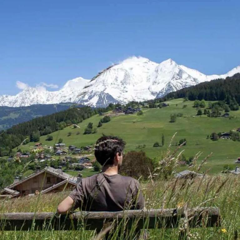 Panorama Mont-Blanc - grande terrasse, linge de maison, wifi, parking privé, cuisine équipée - 2 personnes - Chambre Double - Vue sur Montagne - 26