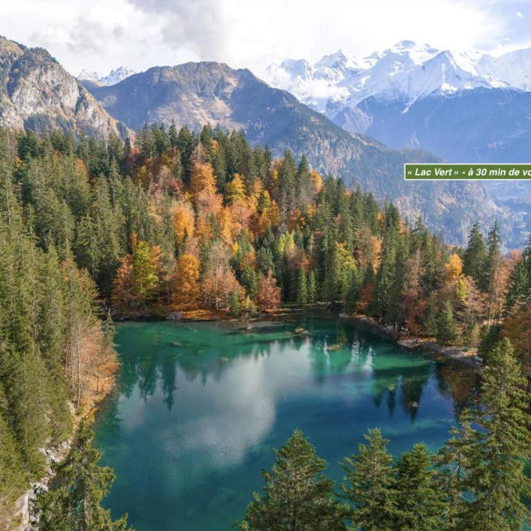 Panorama Mont-Blanc - grande terrasse, linge de maison, wifi, parking privé, cuisine équipée - 2 personnes - Chambre Double - Vue sur Montagne - 21
