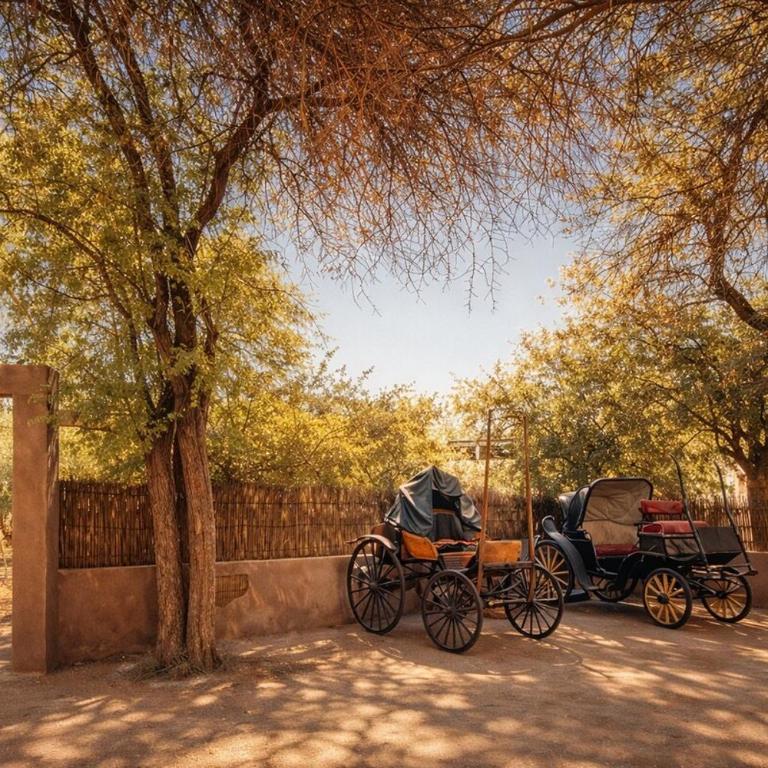 Atacama Arriera Villa Private Desert Oasis Sleeps thirteen Pool & Starlink - Villa - 28