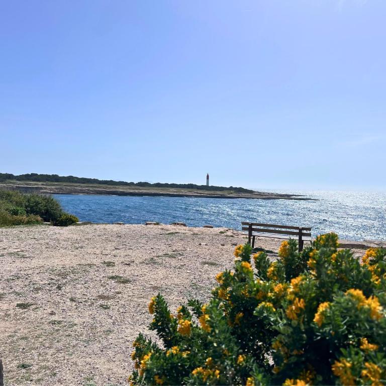 A deux pas de la mer - One-Bedroom Apartment - 29