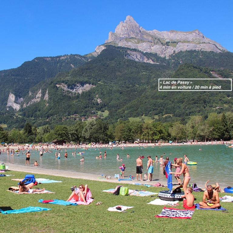 Panorama Mont-Blanc - grande terrasse, linge de maison, wifi, parking privé, cuisine équipée - 2 personnes - Chambre Double - Vue sur Montagne - 16