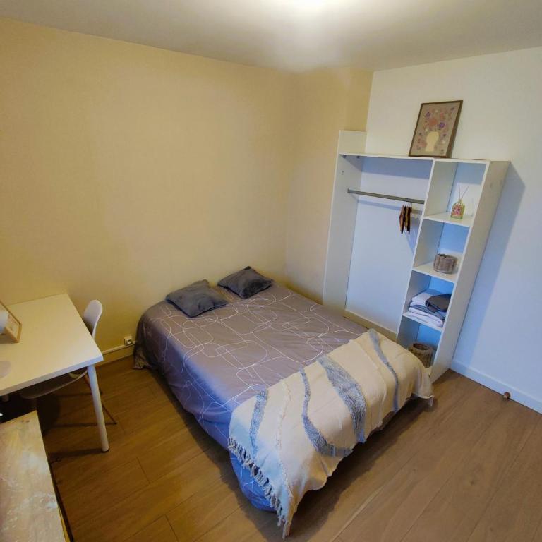 Chambres Spacieuses et Lumineuses - Angers - Votre havre de paix - Chambre Double - 1
