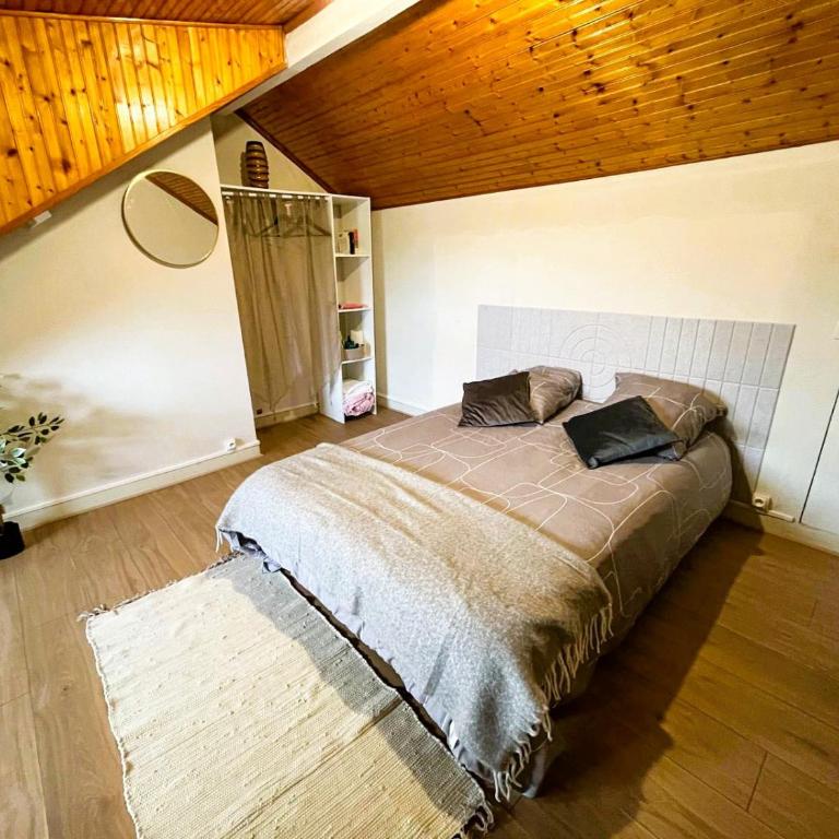 Chambres Spacieuses et Lumineuses - Angers - Votre havre de paix - Chambre Double - 14