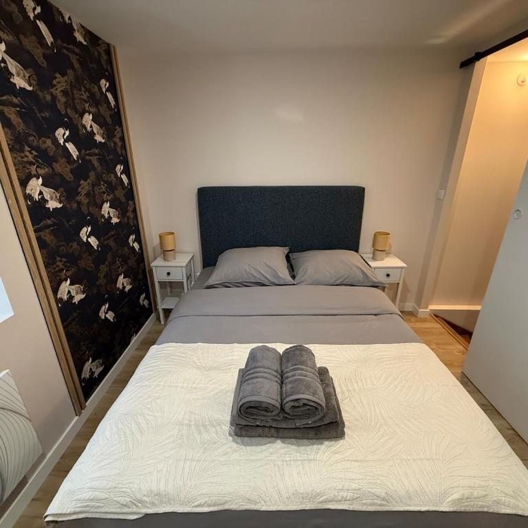 Charmant duplex rénové au pied du château - Apartment mit 1 Schlafzimmer - 10