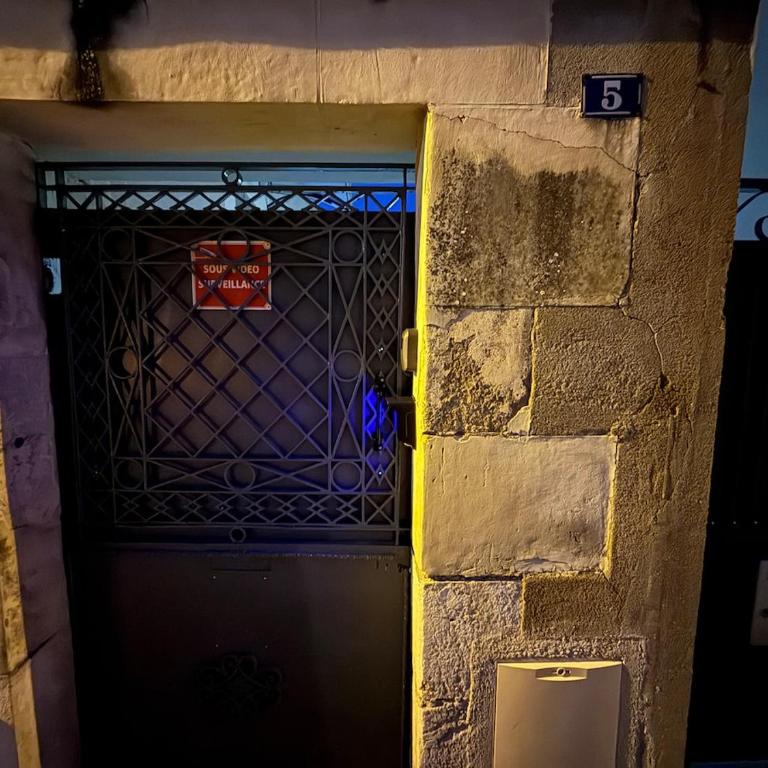 Charmant duplex rénové au pied du château - Apartment mit 1 Schlafzimmer - 11