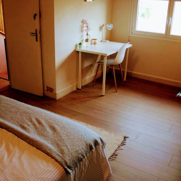 Chambres Spacieuses et Lumineuses - Angers - Votre havre de paix - Chambre Double - 11
