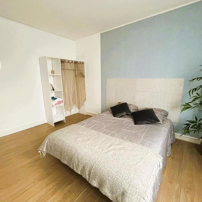 Chambres Spacieuses et Lumineuses - Angers - Votre havre de paix - Chambre Double - 2