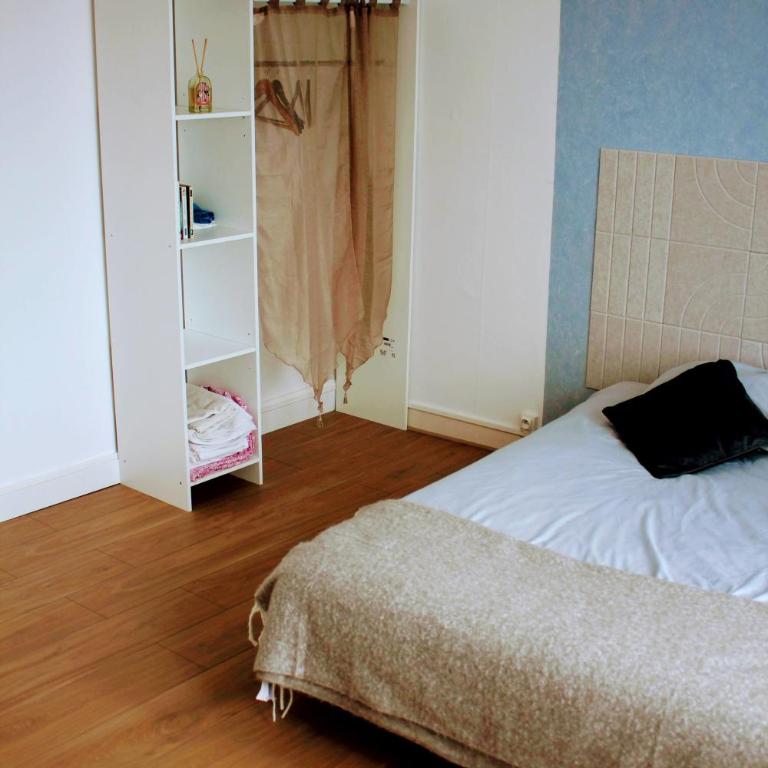 Chambres Spacieuses et Lumineuses - Angers - Votre havre de paix - Chambre Double - 7