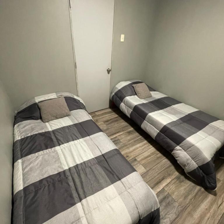 Casa Patodatos - Twin Room - 2