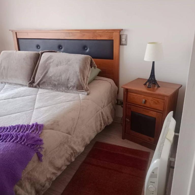Departamento amoblado en Ñuñoa - excelente ubicación cerca de Santiago Centro - Apartamento de 2 dormitorios - 7