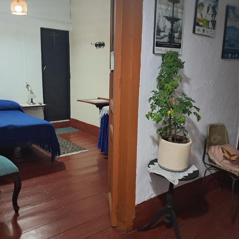 Hostal Frailejon - Habitación Doble con baño privado - 4