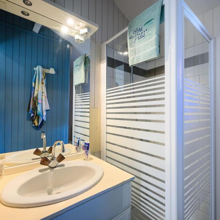 Chalet accueillant animaux - 4 pers. - API-1-52-2423 - Chalet - 5