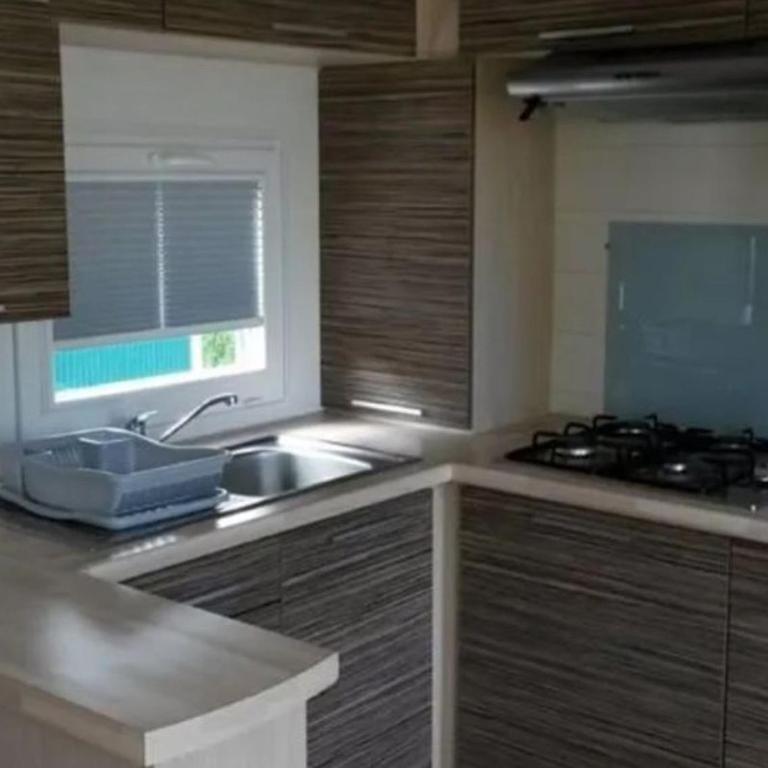 Mobil-home animaux admis - 4 pers. - API-1-52-2500 - Mobile Home - 3