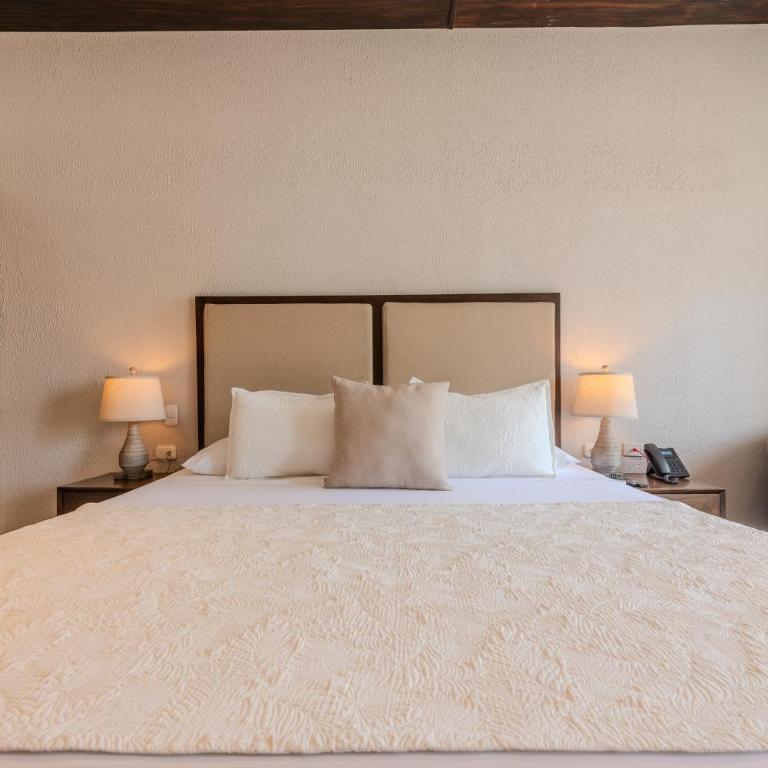 Hotel Dorado Plaza Centro Histórico - Superior Double Room - 10