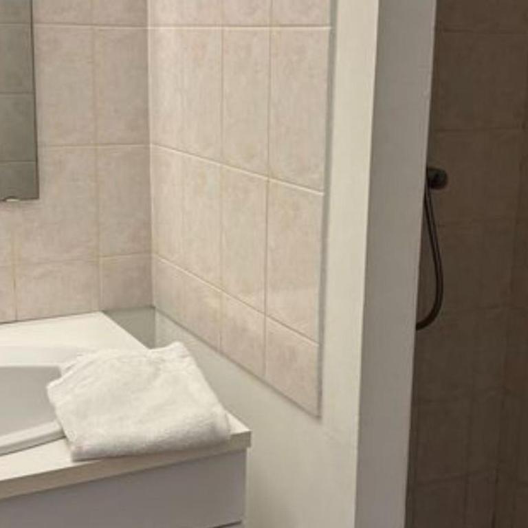 Appartement accueillant chiens - 4 pers. - API-1-52-2531 - Appartement - 7