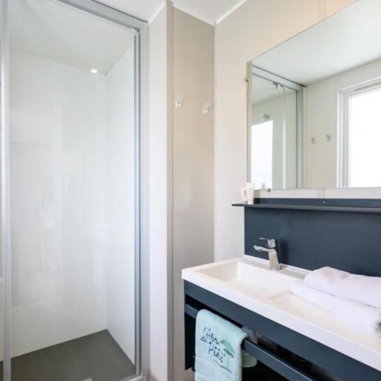 Mobil-home 3 chambres, animaux acceptés - 6 pers. - API-1-52-2544 - Mobile Home - 8