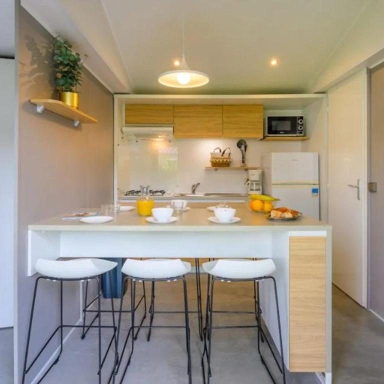 Mobil-home accueillant animaux - 5 pers. - API-1-52-2576 - Mobile Home - 4
