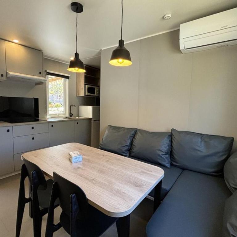 Mobil home climatisé, animaux admis - 4 pers. - API-1-52-2618 - Mobile Home - 3