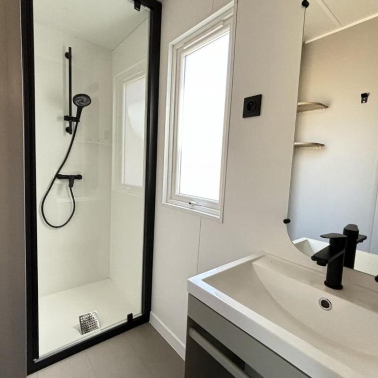 Mobil home climatisé, animaux admis - 4 pers. - API-1-52-2618 - Mobile Home - 4