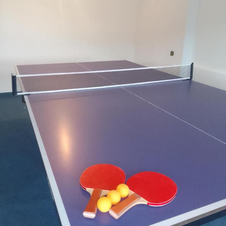 Villa Balic Sarajevo - Standard Villa - 10