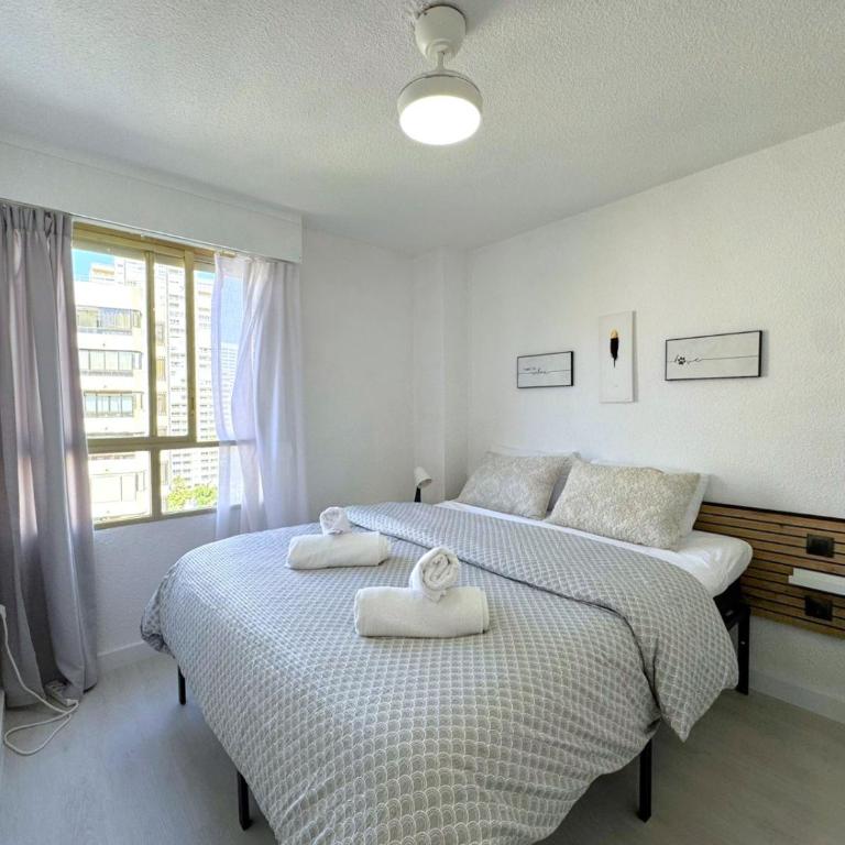 Acuarium III - Apartamento de 1 dormitorio con terraza - 3
