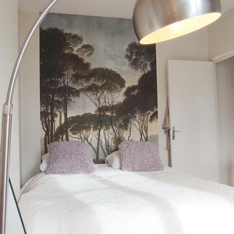 PARIS AUTHENTIC HOUSE Small, bright and calm studio - Studio - 48
