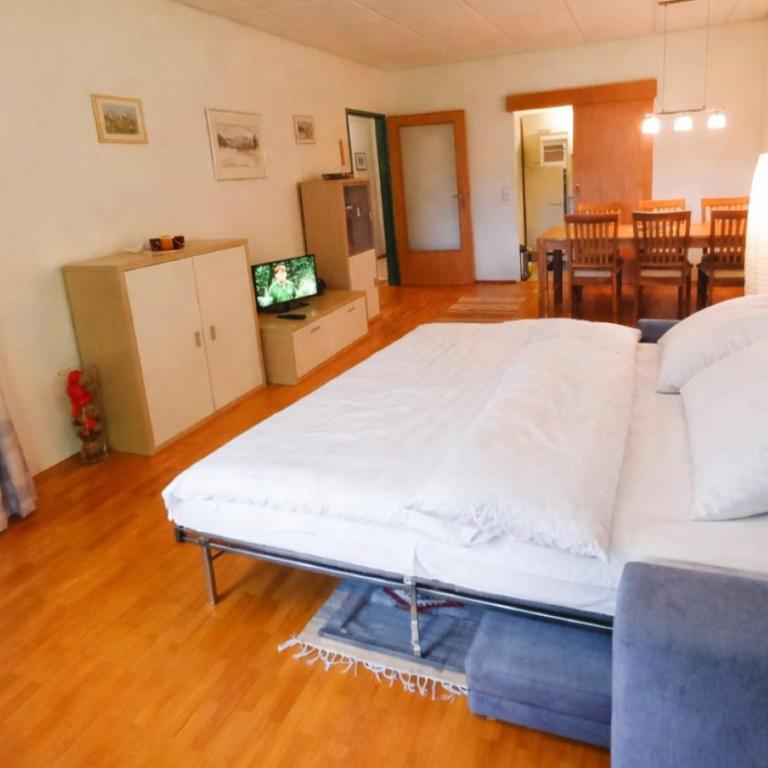 LB5 Seeappartement Haus Landskron mit direktem Seezugang am Ossiachersee - Apartment mit 1 Schlafzimmer - 4