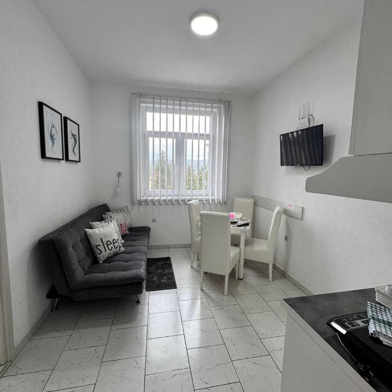 Vila Cirkovic - 200m od mermernog setalista - Porodična Soba sa Balkonom - 6